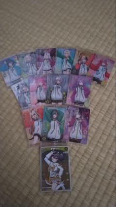 HoloCard 14-piece set