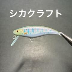 シナイモツゴ50のサムネイル