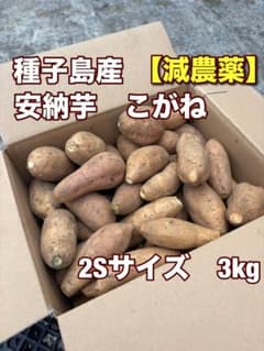 種子島産安納芋こがね【減農薬】 2Sサイズ　3kgのサムネイル