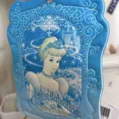 ヴィンテージ 東京ディズニーランド パスホルダー パスポート ディズニーパークのサムネイル