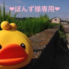 ❤︎ぽんず様専用❤︎のサムネイル