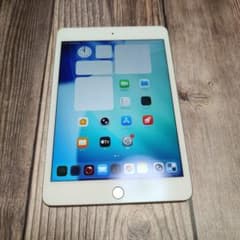 iPad mini 第5世代 64GB SIMフリー 美品 バッテリー88% - メルカリ