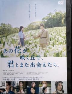 T24K あの花が咲く丘で君とまた出会えたら。 レンタル落ち