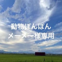 動物ぽんぽん　メーメー様専用のサムネイル