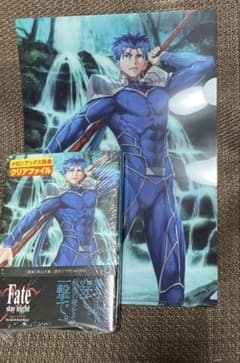 Fate / stay night UBW 8 권 클리어 파일 랜서 g