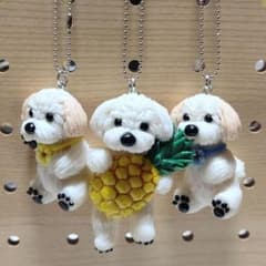マルチーズ☆パイナップル&耳ベージュ☆チャーム☆のサムネイル