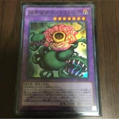 捕食植物キメラフレシアのサムネイル