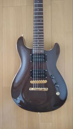 FERNANDES APG 100 24F仕様 FERNANDES APG-100 24F【レア】 - メルカリ