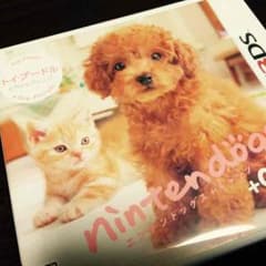 ３DS♡ニンテンドックスのサムネイル