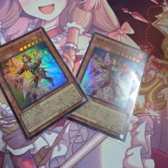 遊戯王 耀聖の花詩 ルキナ エルフェンノーツ スーパーレア 2枚 - メルカリ