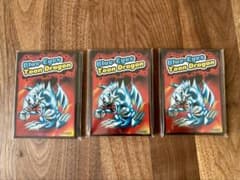 遊戯王 ブルアイズ•トゥーン•ドラゴン プロテクター3点セット - メルカリ