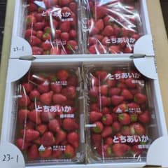 とちあいか　訳アリ2.6kg 23-1のサムネイル