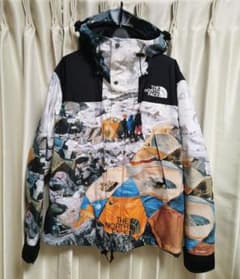 【はむさん専用】Invincivle × North Faceのサムネイル