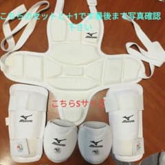 MIZUNO 空手 防具4点セット チェストガード シンガードのサムネイル