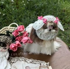 NO.64ペット用 ハンドメイド可愛い耳付き♡スヌーのサムネイル
