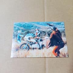 m90855443205_1.jpg?1766776506