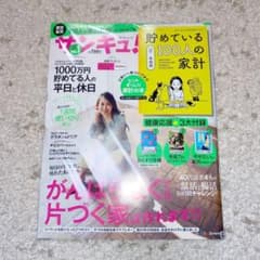 サンキュ!特装版 特集がんばらなくても片づく家は作れます!! 新品未開封のサムネイル
