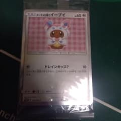 ポンチョを着たイーブイ(ニンフィア)のサムネイル
