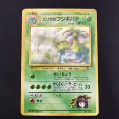 旧裏 エリカのフシギバナ - メルカリ