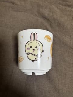 치이카와 쿠라 스시 콜라보 토끼 유삼 온천만