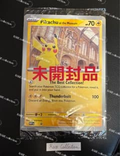 Pikachu at the Museum ピカチュウ ロンドン自然史博物館 ⑧ - メルカリ