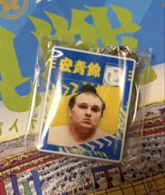 U-25パズルキーホルダー【安青錦】のサムネイル