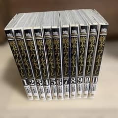 【美品】終末のワルキューレ1-11巻 ほぼ新品のサムネイル