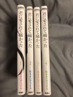 君に愛されて痛かった 1巻から4巻