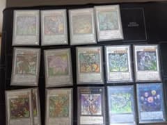 遊戯王OCG ドラグニティ✕スターダスト デッキのサムネイル