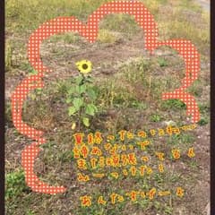 ニャニイ♡様  専用ページのサムネイル