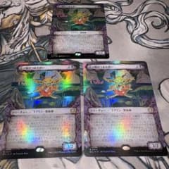 売り物のつまみ食い 3枚 foil