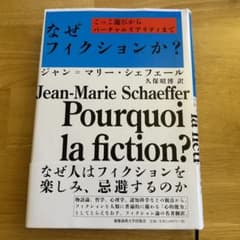 なぜフィクションか? ごっこ遊びからバーチャルリアリティまでのサムネイル