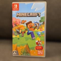 Minecraft　Switch