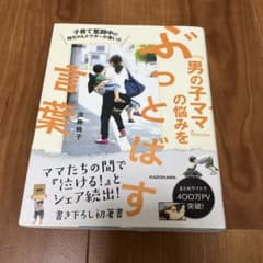 子育て奮闘中の母ちゃんドクターが書いた 「男の子ママ」の悩みをぶっとばす言葉のサムネイル