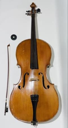 m90965425531_1.jpg?1710499033