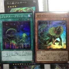 プレデタープランター&捕食植物サンデウキンジーのサムネイル