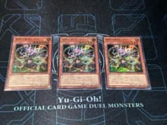 耀聖の風詩レギナ 3枚セット 遊戯王のサムネイル
