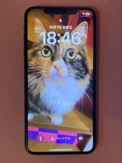 iPhone XS Maxのサムネイル