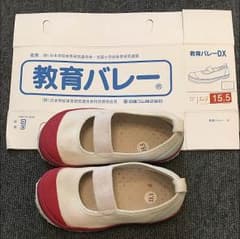 教育バレーDX 上履き 15.5のサムネイル