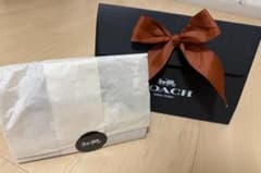COACH C4196 シグネチャー ポーチ 美品 箱付 - メルカリ