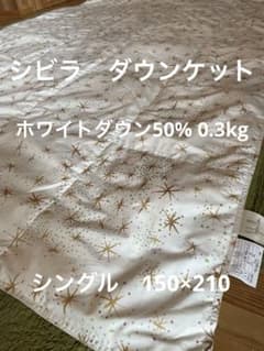 m91007233645_1.jpg?1774513363