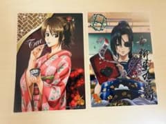 銀魂 志村妙 柳生九兵衛 トレーディングカード 2枚セットのサムネイル