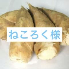 ねころく様　京都山城産　朝掘り筍5kg関東クール便のサムネイル