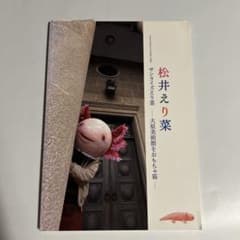 松井えり菜「サンライズえり菜 大原美術館をおもちゃ箱」図録 - メルカリ