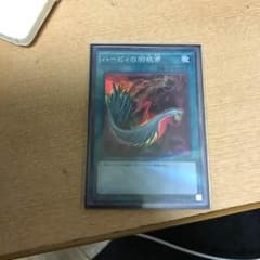 ハーピィの羽根箒のサムネイル