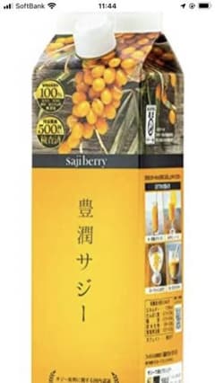 フィネス 豊潤サジーのサムネイル