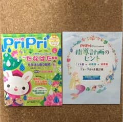 pripri 2017 6月号 指導計画のヒント 7〜9月のサムネイル