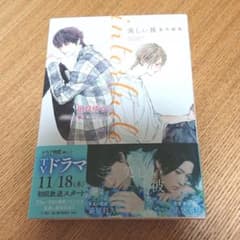 美しい彼番外編集(仮)のサムネイル