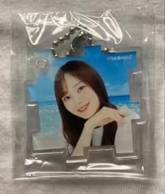 乃木坂46 梅澤美波　アクリルキーホルダー　モバイルのサムネイル
