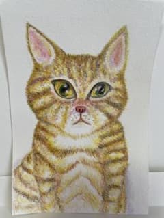 色鉛筆原画いたずらっ子の茶トラ猫のサムネイル